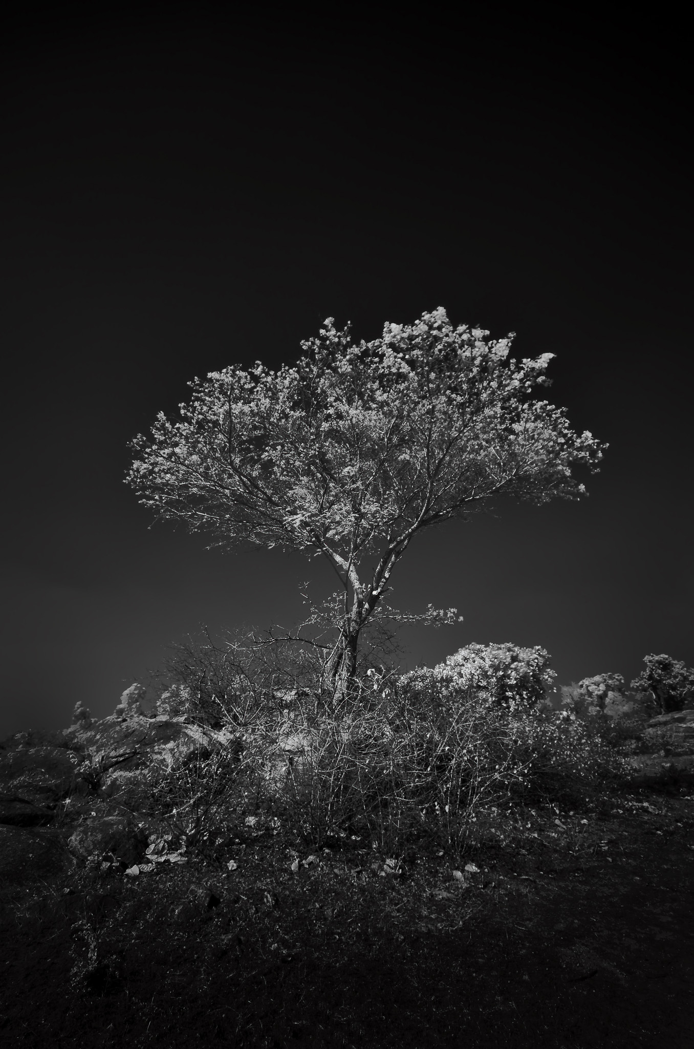 Shoreline Reflections — Coastal print